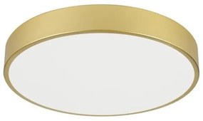 Immax NEO 07292L - LED+CCT dimmelhető mennyezeti lámpatest SEMPLICI 36W/230V átm. 40 cm + távirányítóval