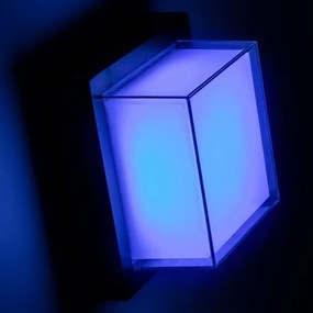 Rabalux 7247 - LED RGBW Kültéri lámpa DURBE LED/10W/230V IP54 Wi-Fi Tuya