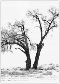 Poszterek A4 Pion Magányos fa