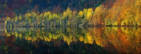 Művészeti fotózás Autumnal silence, Burger Jochen, (60 x 23.2 cm)