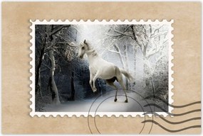 Poszterek 90x60 Fehér paripa