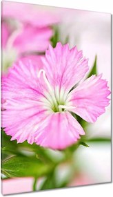 Vászonkép 80x120 Virágok