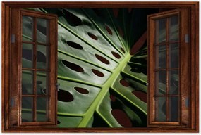 Poszter 60x40 Mosnter levelek lyukas