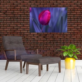 Tulipán bimbó képe (90x60 cm)