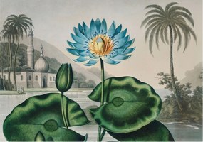 Fotótapéta Flizelin a nappali hálószobába Egzotikus táj 208x146