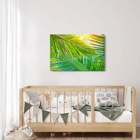 Kép - Pálmalevelek (90x60 cm)