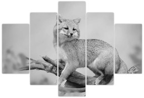 Kép - Szürke róka (150x105 cm)