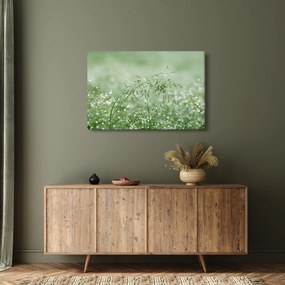 Kép - Harmat a fűben (90x60 cm)