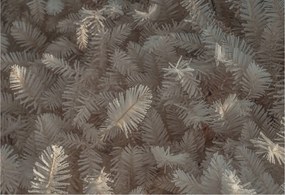 Divatos Flizelin Tapéta Fali Furnér Fagyasztott gallyak 152x104 Ragasztó