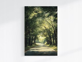 Poszter Tájkép Természet Fák Sikátor Út Nap Nyár 40x60