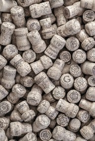 Poszter 61x90,5cm Pezsgős dugók, Assaf Frank