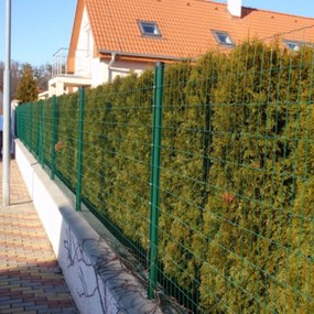 Műanyag bevonatú acél drótháló kerítés 1,5 x 30m, vastagság 1,5 mm