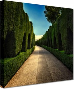 Festmények 60x60 Tájkép