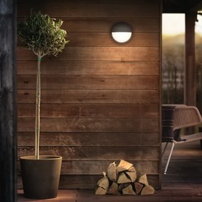 Philips 16455/93/16 - LED Kültéri fali lámpa CAPRICORN LED/6W/230V IP44