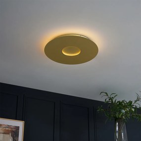 Modern mennyezeti lámpa arany 40 cm LED-del, 3 fokozatban dimmelhető - Morning