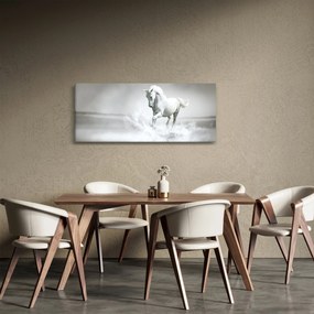 Kép - Fehér ló (120x50 cm)