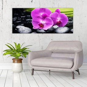 Kép - Orchideák (120x50 cm)