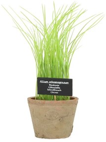 Műnövény (magasság 27 cm) Chives – Esschert Design