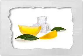 Poszterek 90x60 Citrom negyed