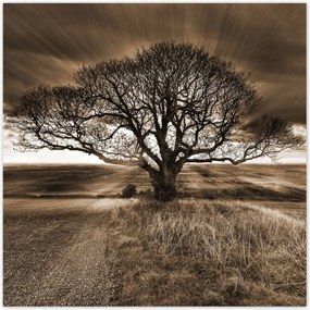 Poszterek 70x70 Tájkép varázslattal