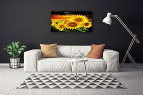 Canvas kép Napraforgó virág növény 125x50 cm