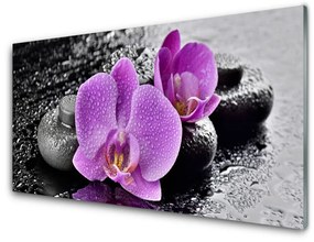 Akrilkép Orchidea virágok orchidea Spa 100x50 cm 2 fogas