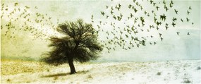 Kép - Festett madárállomány (120x50 cm)