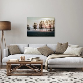 Kép - reggeli szárazság (üvegen) (70x50 cm)