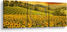 Kép - Napraforgó mező (órával) (90x30 cm)