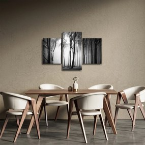 Kép - Farkas a sötét erdőben (90x60 cm)