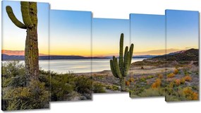 Képek 150x80 Kaktuszok a sivatagban