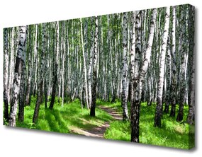 Vászonkép falra Grass Nature Fák 100x50 cm