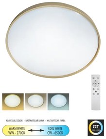 LED Dimmelhető mennyezeti lámpa DRINA LED/36W/230V 2700-6500K  + távirányító