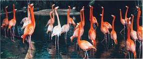 Flamingók csordája (120x50 cm)