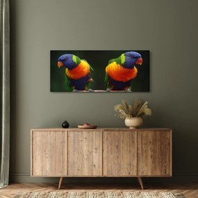 Papagájok képe (120x50 cm)