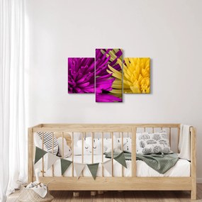 Kép - virág részlet (90x60 cm)