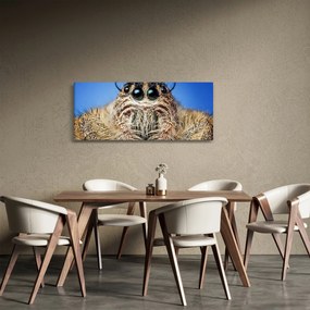 A pók részletének képe (120x50 cm)