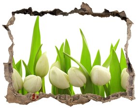 Lyuk 3d fali matrica Fehér tulipán nd-k-40774643