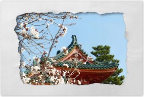 Poszterek 60x40 Virágzó cseresznye Japánban