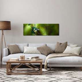 Páva képe (órával) (90x30 cm)
