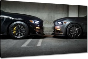 Képek 120x70 Ford Mustang made in Usa