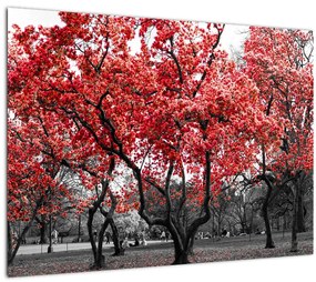 Kép - vörös fák, Central Park, New York (üvegen) (70x50 cm)