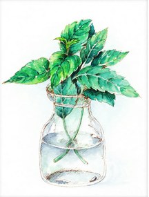 Festés számok szerint kép kerettel "Ültessen egy vázába" 40x50 cm