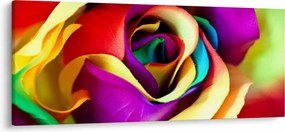 Kép - Színes rózsa (120x50 cm)