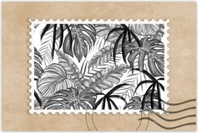 Poszter 60x40 Monstera Zöld levél