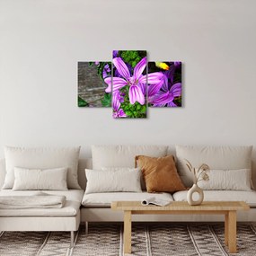 Kép - réti virágok (90x60 cm)
