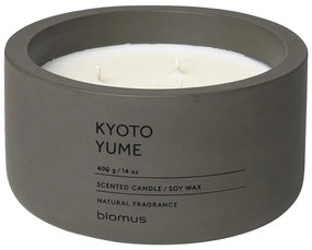 Illatos szójaviasz gyertya égési idő 25 ó Fraga: Kyoto Yume – Blomus