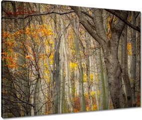 Vászonkép 80x60 Tájkép Látvány