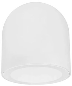 Chroma LED 695