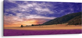 A levendula rét képe (120x50 cm)